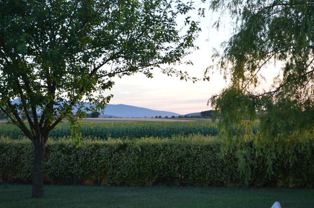 Agrialbergo Capalbio Exteriér fotografie